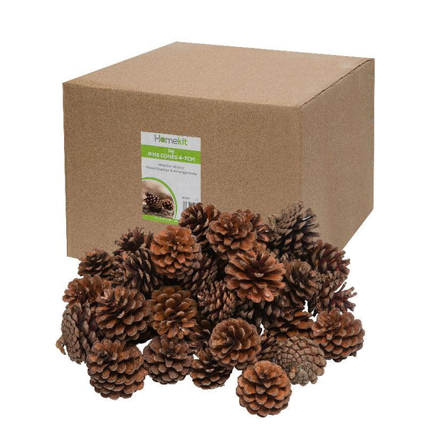 Homekit 1Kg Pine Cones Bulk Pack – Perfect for Florists – Christmas Decorations – Wreaths – Naturally Dried – Ready to Get Creative