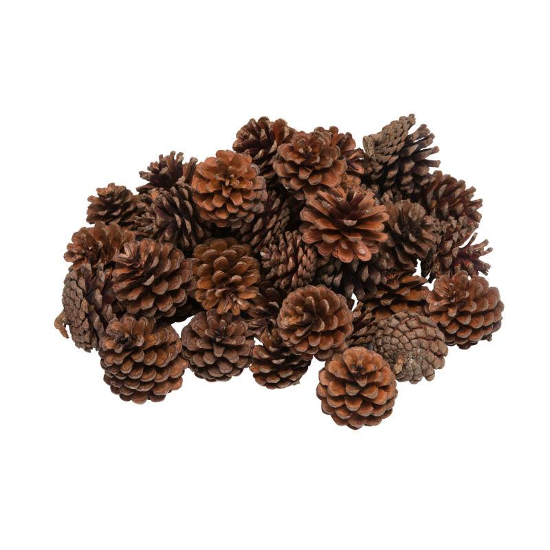 Homekit 1Kg Pine Cones Bulk Pack – Perfect for Florists – Christmas Decorations – Wreaths – Naturally Dried – Ready to Get Creative
