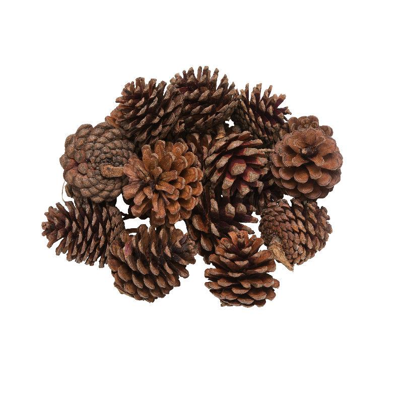 Homekit 500g Pine Cones Bulk Pack – Perfect for Florists – Christmas Decorations – Wreaths – Naturally Dried – Ready to Get Creative