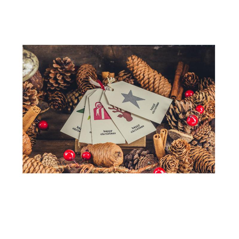 Floral Assortment -100g Whole Star Anise - 200g Cinnamon Sticks - 200g Pine Cones – Christmas Tree Decorations, Wreaths and Florist Supplies